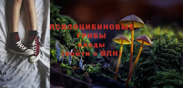 spice Строитель